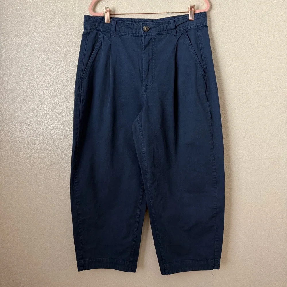 Everlane Pants Womens 12 Everywhere Barrel Pleated Chino Organic Cotton Linen
